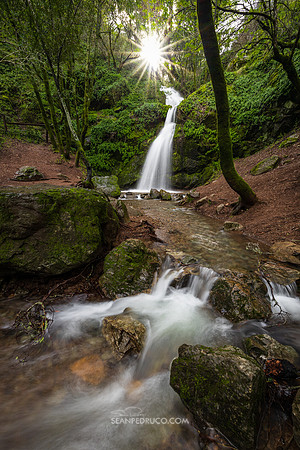 Divine Flow